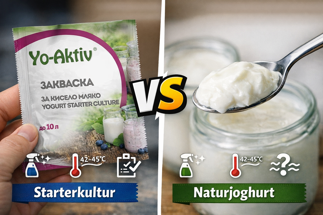 Joghurt impfen: Starterkultur und Naturjoghurt im Vergleich