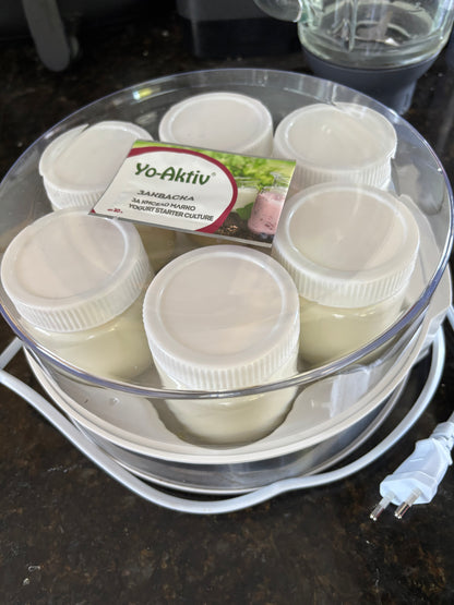 Joghurt Starterkultur